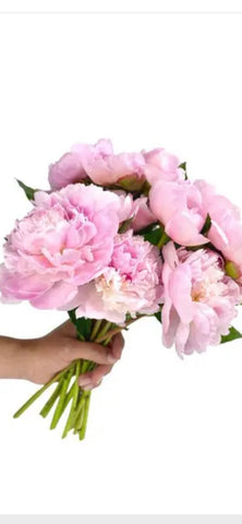Peony