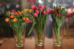 Spring Special : Tulips Hand bouquet